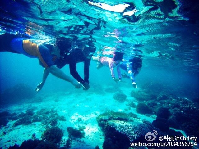无忧国际wy6999
