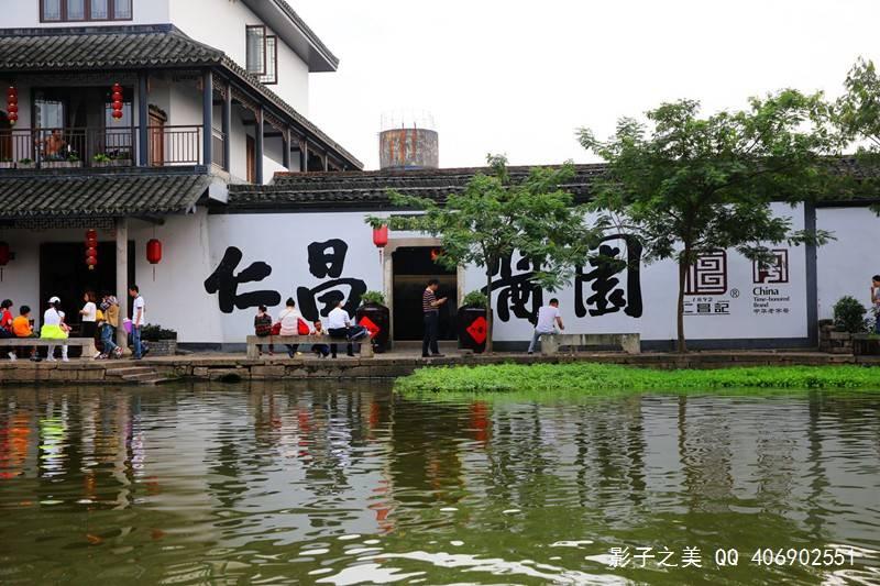 这个是什么树啊？
